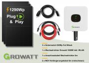 1200W Mini PV Anlage Growatt MIC 1000TL-X